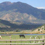 Ranchgallery_06
